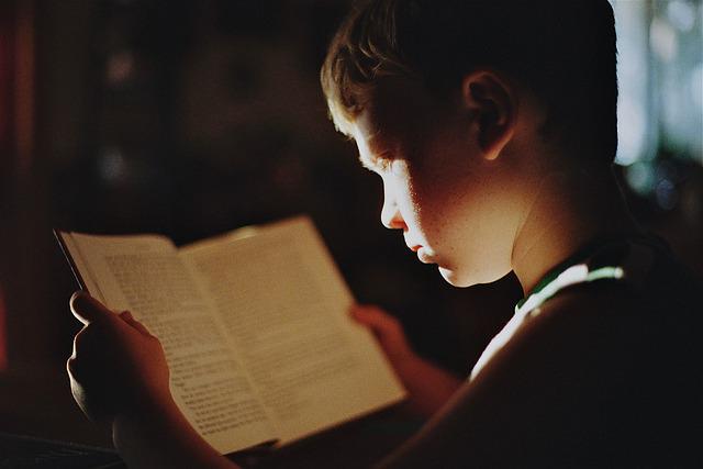 Ein Junge liest ein Buch.